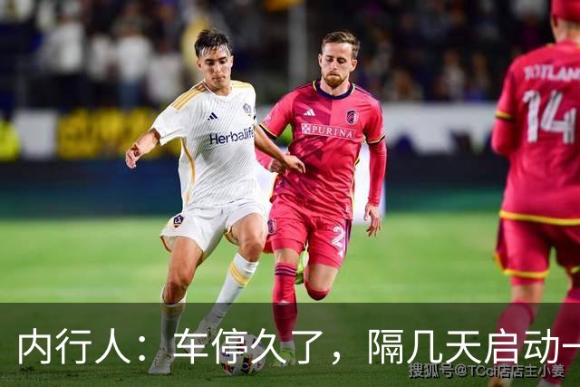 内行人：车停久了，隔几天启动一次，是大错特错，别再做了