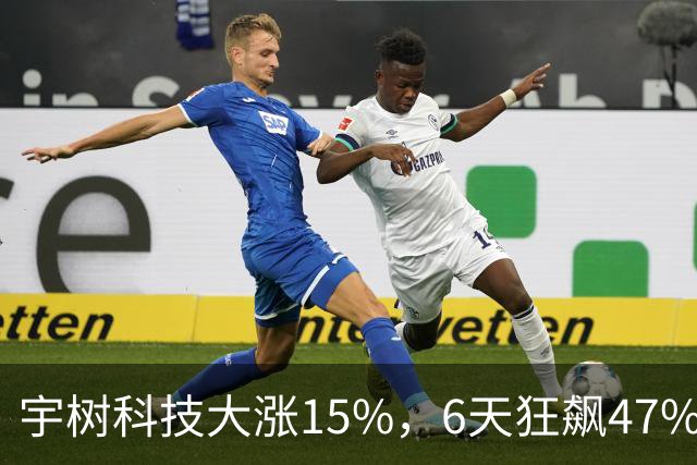 宇树科技大涨15%，6天狂飙47%